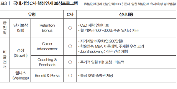 Company C top-talent program 2